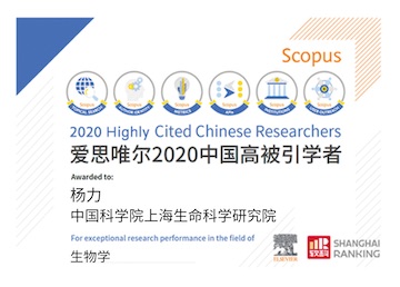 2021/2020_Highly_Cited_Chinese_Researchers_v5.jpeg